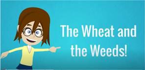 Wheat Weeds En